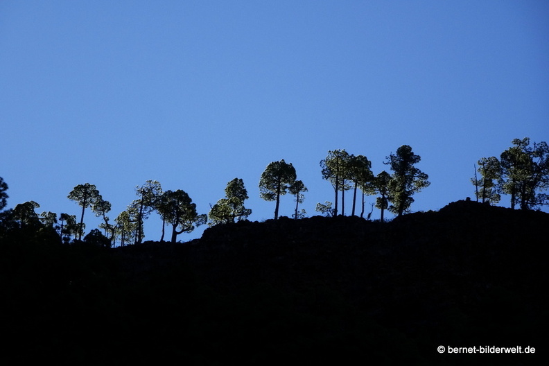 19-11-26-np-caldera de la taburiente-202.jpg