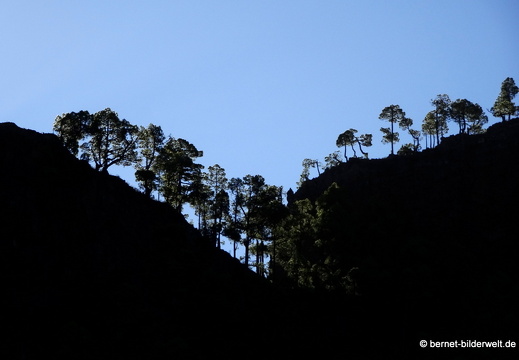 19-11-26-np-caldera de la taburiente-211