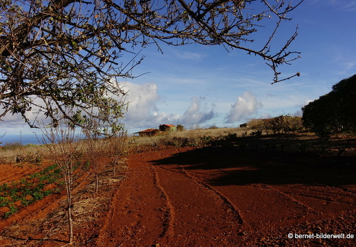 19-11-19-puntagorda-006