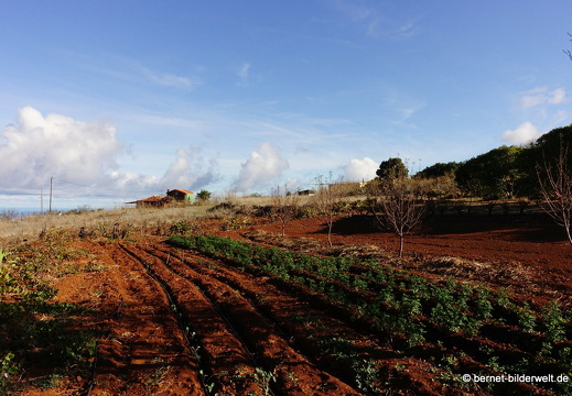 19-11-19-puntagorda-005