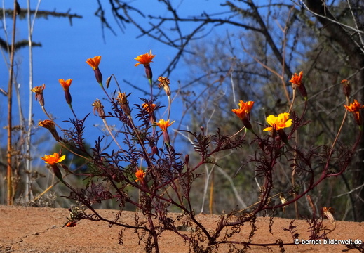 19-11-19-puntagorda-256