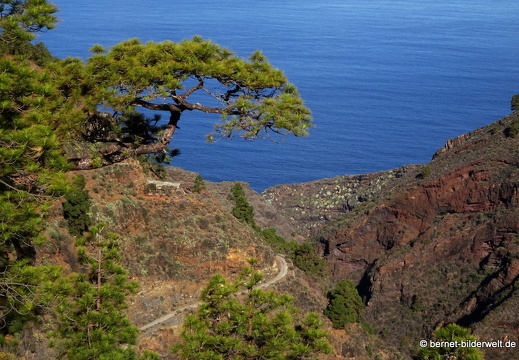 19-11-19-puntagorda-Mirador de Izcagua-037