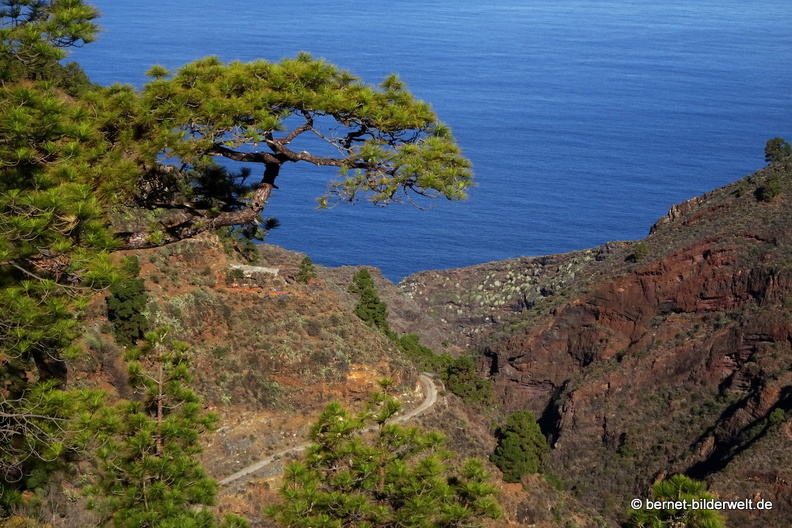 19-11-19-puntagorda-Mirador de Izcagua-037.jpg