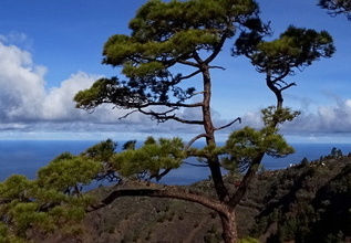 19-11-19-puntagorda-Mirador de Izcagua-124