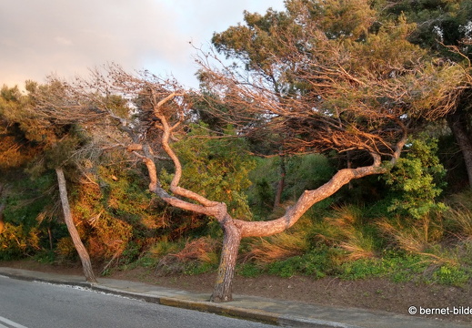 19-04-16-rhodos-sonnenuntergang-003