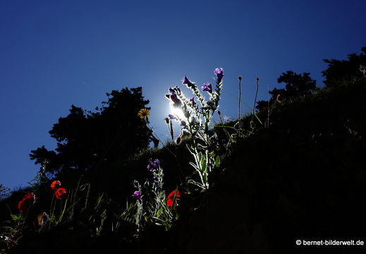 19-04-17-rhodos-altstadt-stadtmauer-088
