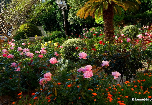 19-04-17-rhodos-am rosengarten-003