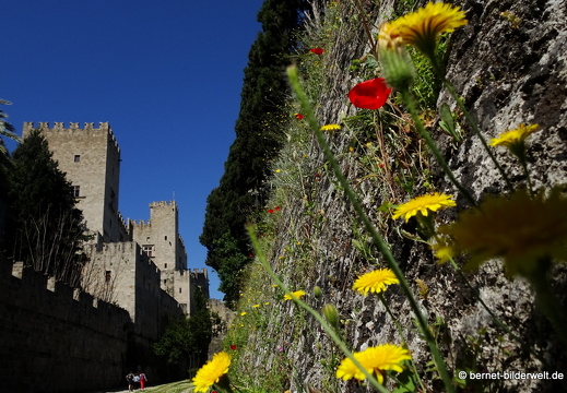 19-04-17-rhodos-altstadt-stadtmauer-051