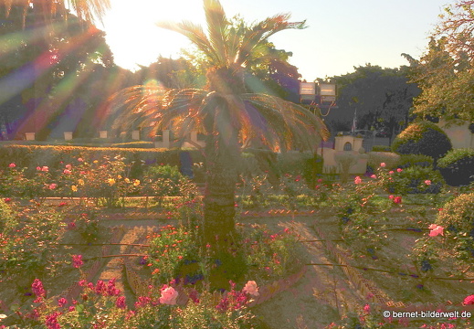 19-04-17-rhodos-am rosengarten-005