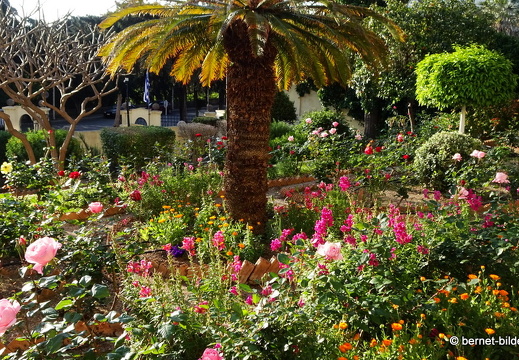 19-04-17-rhodos-am rosengarten-010