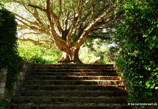 19-04-17-rhodos-rhodische villa mit park-044