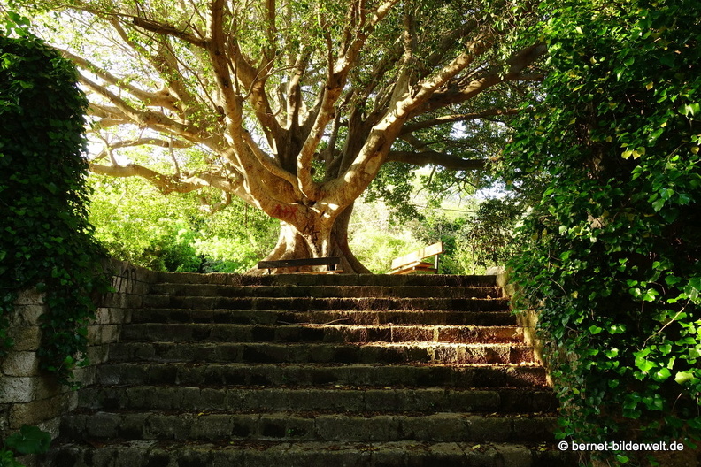 19-04-17-rhodos-rhodische villa mit park-044.jpg