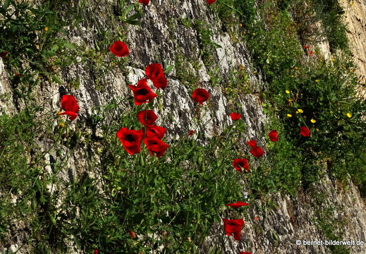 19-04-19-rhodos-altstadt-stadtmauer-004
