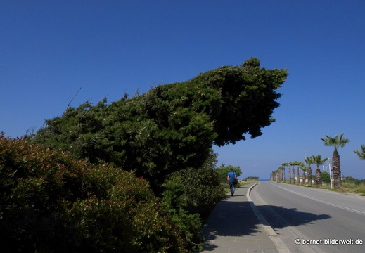 19-04-19-rhodos-monte smith-029