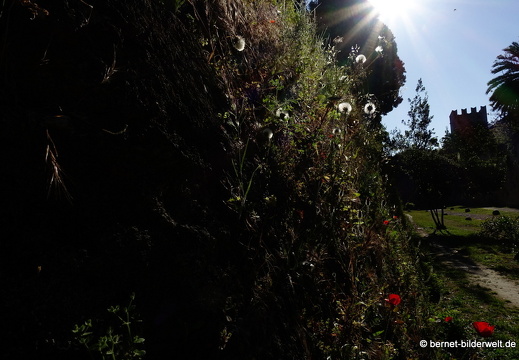 19-04-20-rhodos-stadtmauer-102