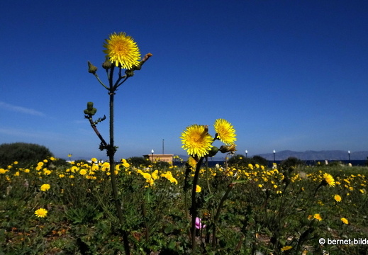 19-04-22-rhodos-kap-039