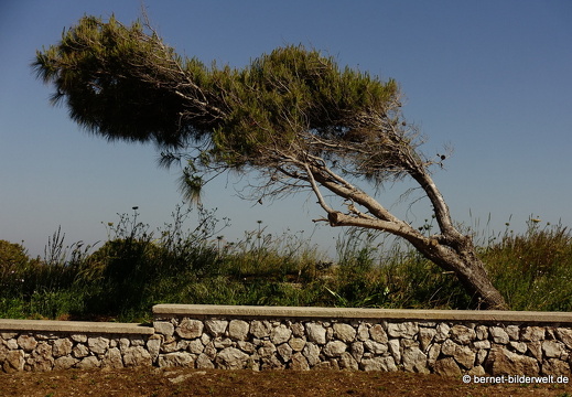 19-04-22-rhodos-mount smith-050
