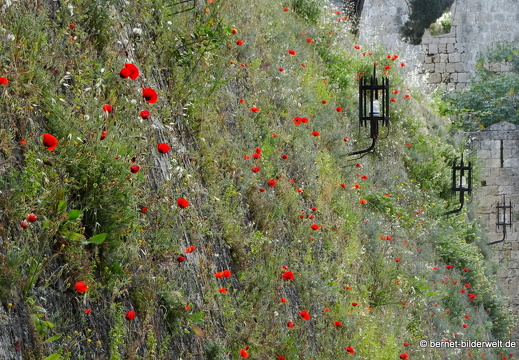 19-04-26-rhodos-altstadt-stadtmauer-009