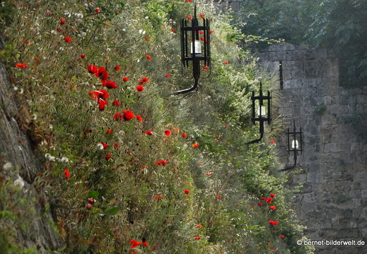 19-04-28-rhodos-stadtmauer-004