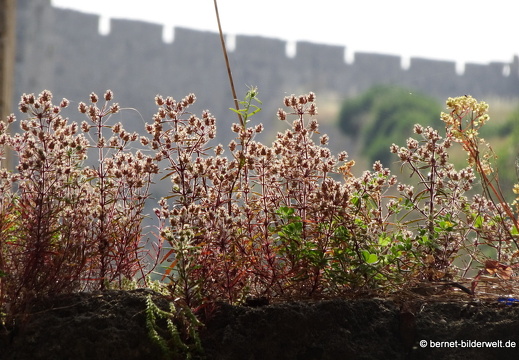 19-04-28-rhodos-stadtmauer-050