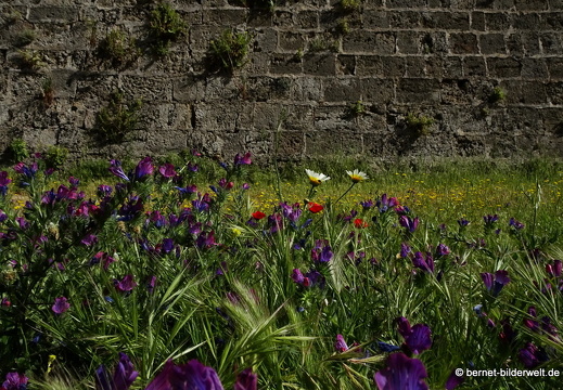 19-04-29-rhodos-stadtmauer-028