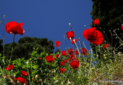 19-05-01-rhodos-stadtmauer-039