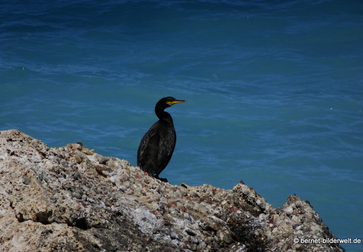 19-05-08-rhodos-westkueste-ialisou-promenade-172
