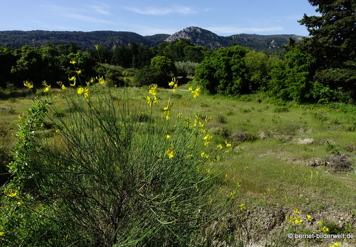 19-05-04-maritsa-052