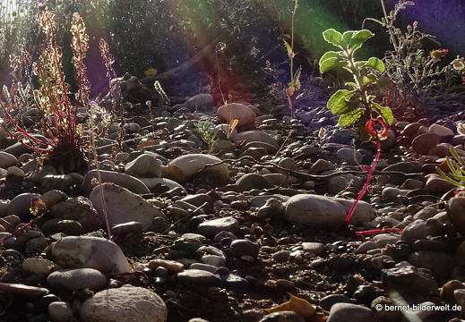 19-05-04-maritsa-070