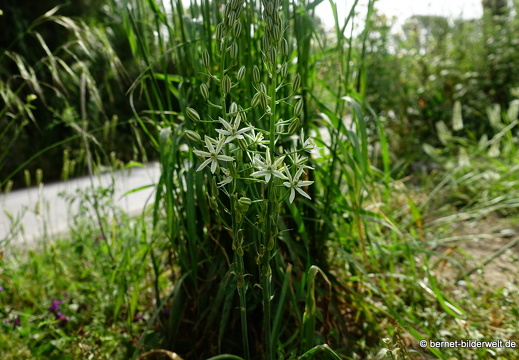 19-05-06-pastida-016