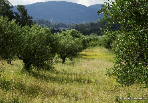 19-05-11-theologos-100