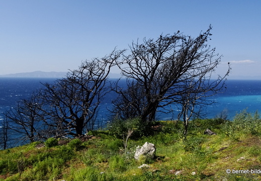 19-04-19-rhodos-monte smith-046