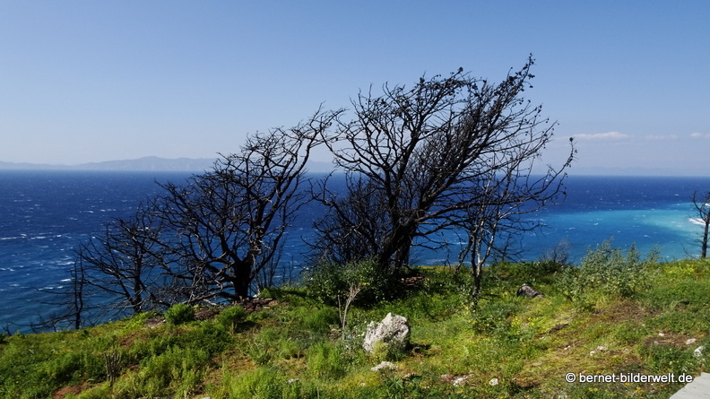 19-04-19-rhodos-monte smith-046.jpg