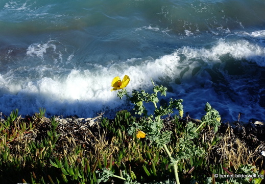 19-05-08-rhodos-westkueste-ialisou-promenade-012