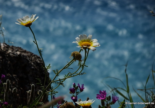 19-04-19-rhodos-monte smith-011