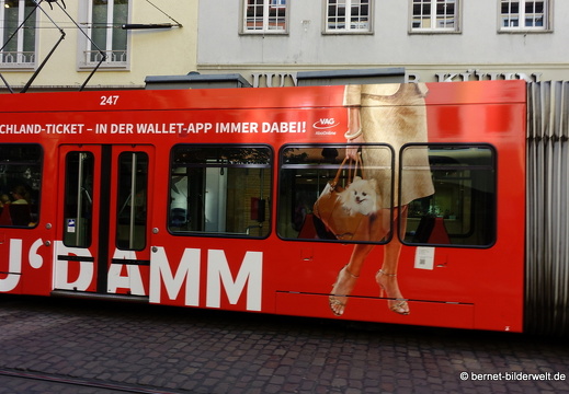 25-08-07-freiburg--024