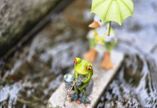 25-08-07-freiburg--baechle-