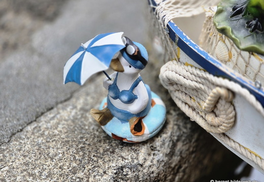 25-08-07-freiburg--baechle-004