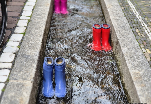 25-08-07-freiburg--baechle-006