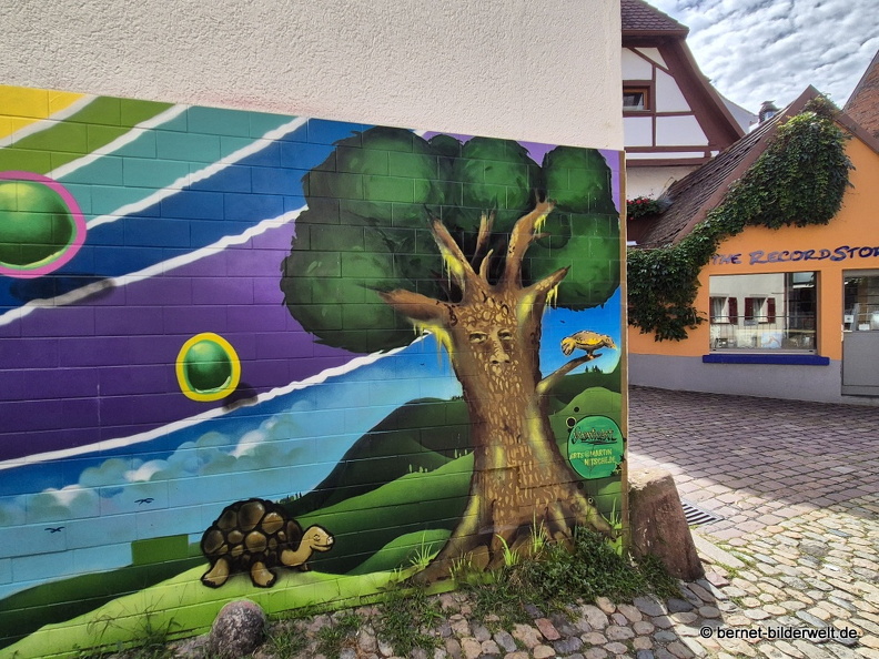 25-08-07-freiburg--graffiti-009.JPG