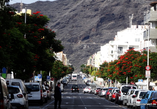 19-11-06-los llanos-110