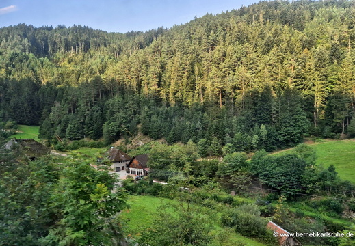25-08-13-bahnfahrt-schwarzwald-006