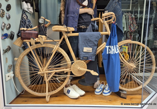 25-08-17-konstanz-fahrrad-weide-