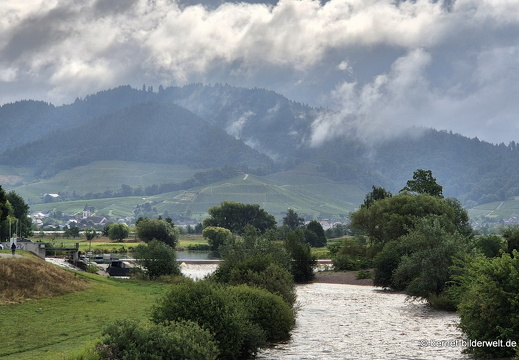 25-08-03-am grossendeich-006