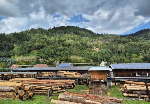 25-08-22-bahnfahrt-kinzigtal-008