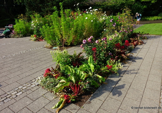 25-08-27-karlsruhe-stadtgarten-zoo-058