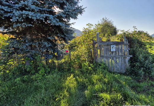 25-09-19-wilhelmstrasse-