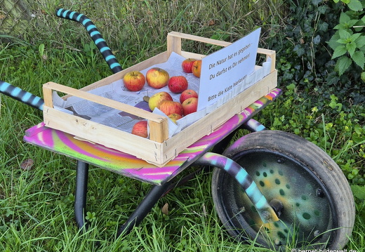 25-09-19-wilhelmstrasse-aepfel-