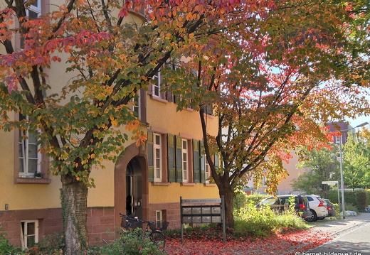 25-10-08-006-franz-ludwig-mersy-strasse-herbstfarben-001