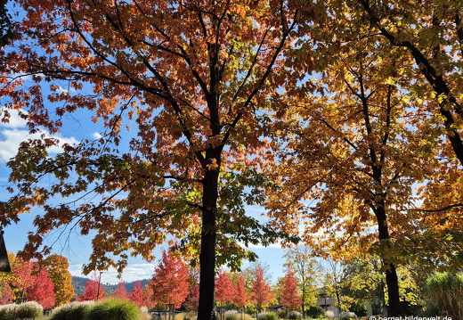 25-10-18-cjd-zaehringer strasse-